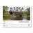 N2BIA